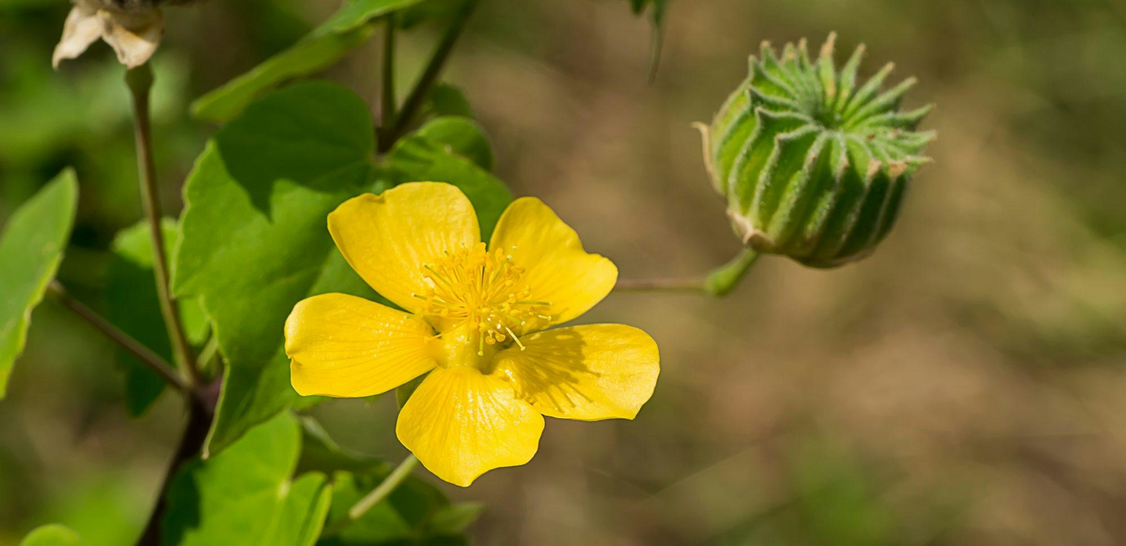 Depositphotos 197589046 L