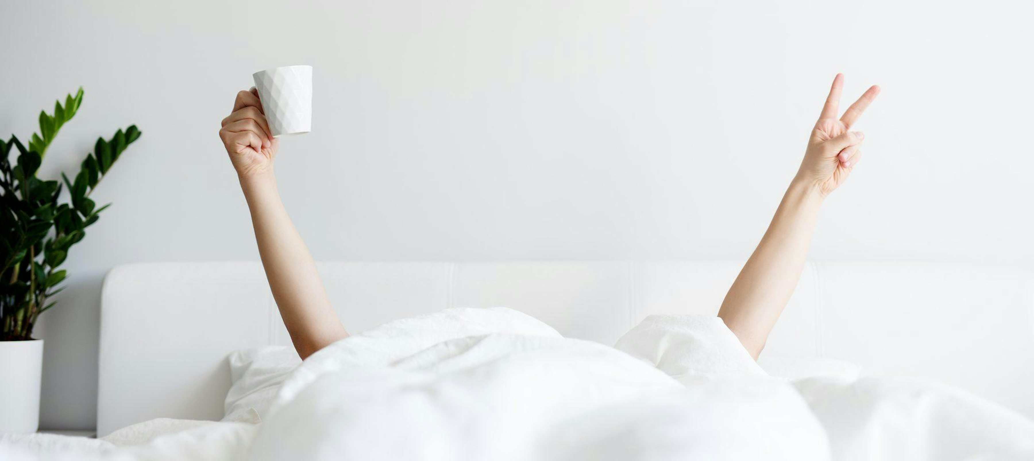 Depositphotos 388850774 L