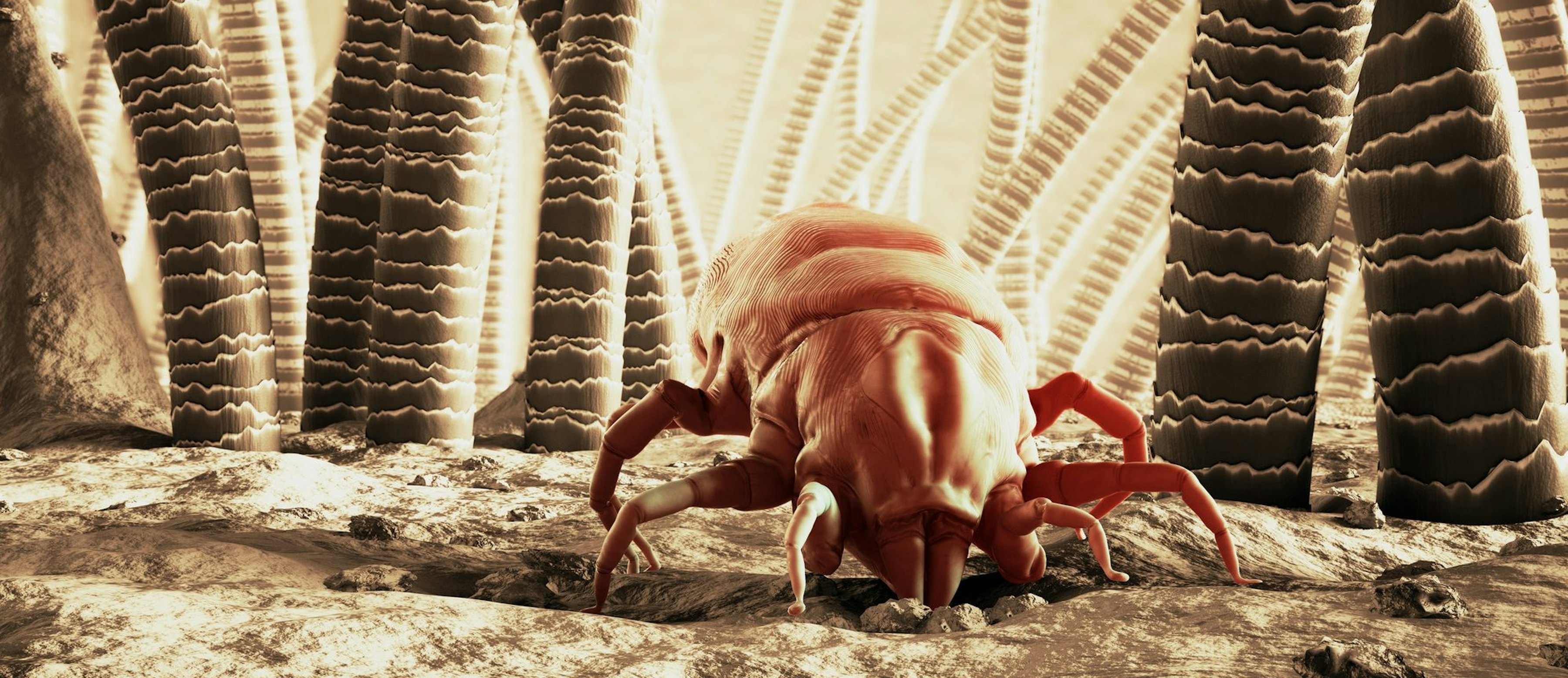 Depositphotos 88914198 L