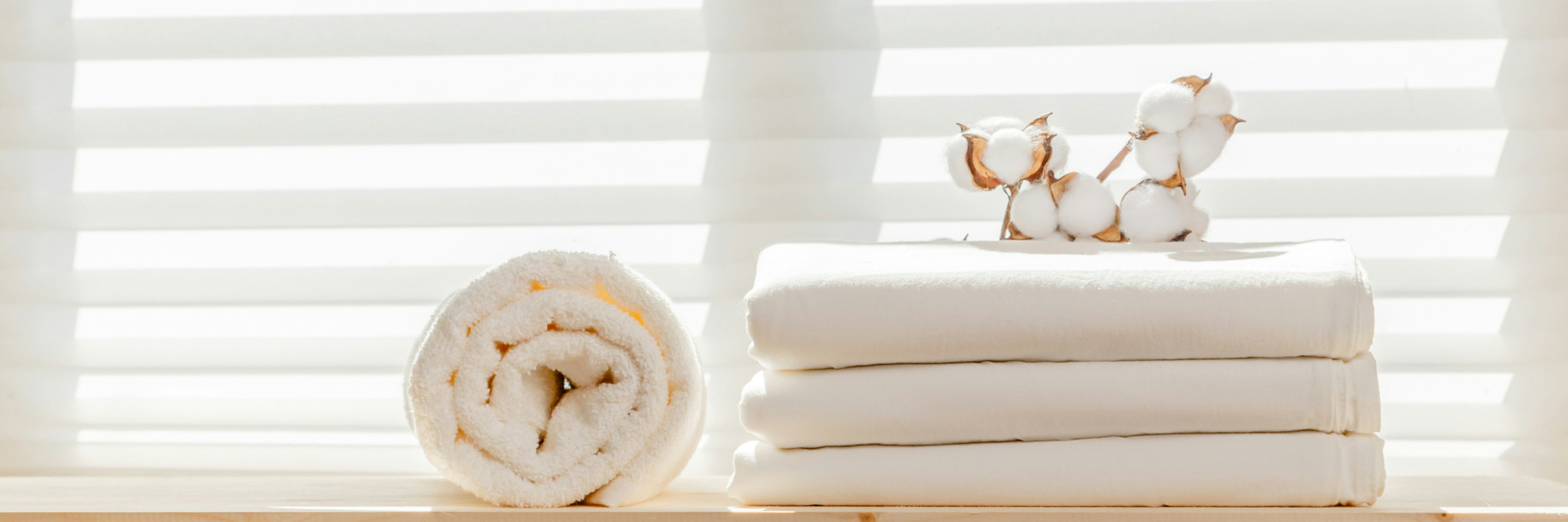 Dust Mites All You Need To Know About Dust Mite Prevention