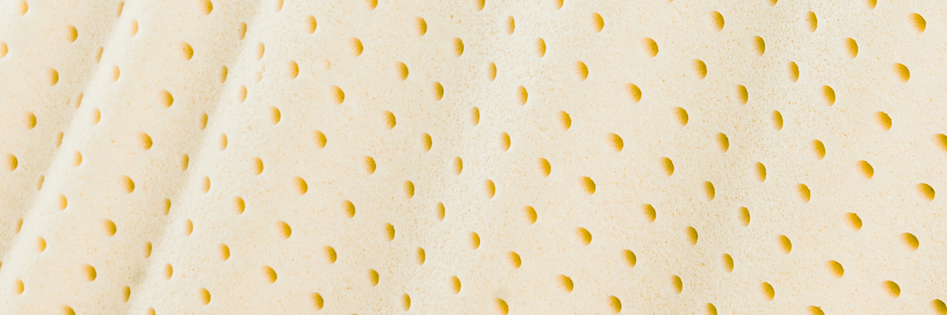 Dust Mites All You Need To Know About Vita Talalay