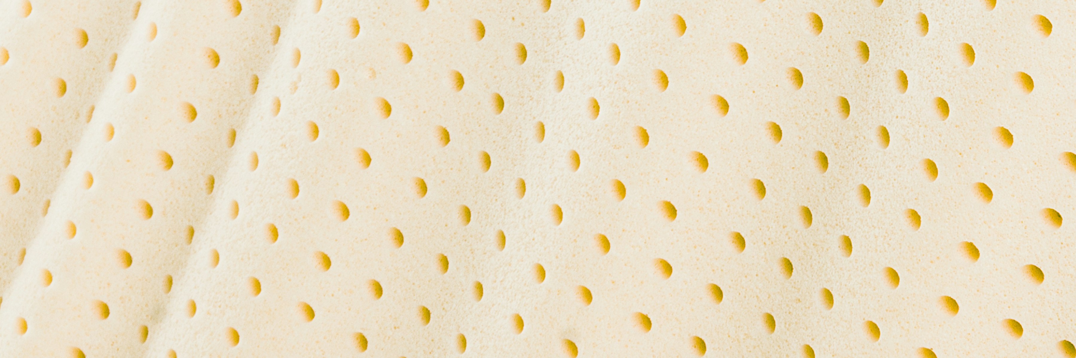 Dust Mites All You Need To Know About Vita Talalay