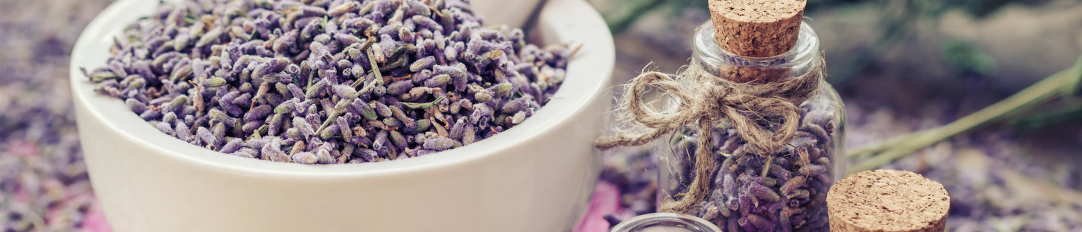 Lavender Essential Oil