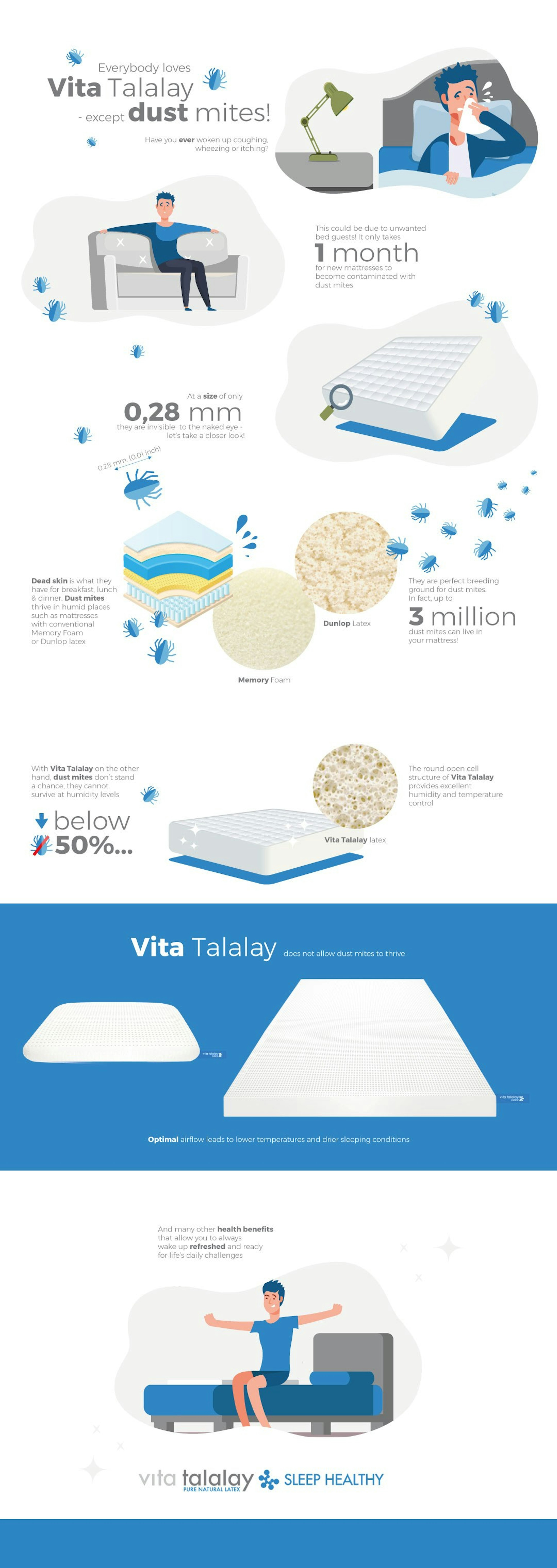 Vita Talalay Dust Mites Infographics V05