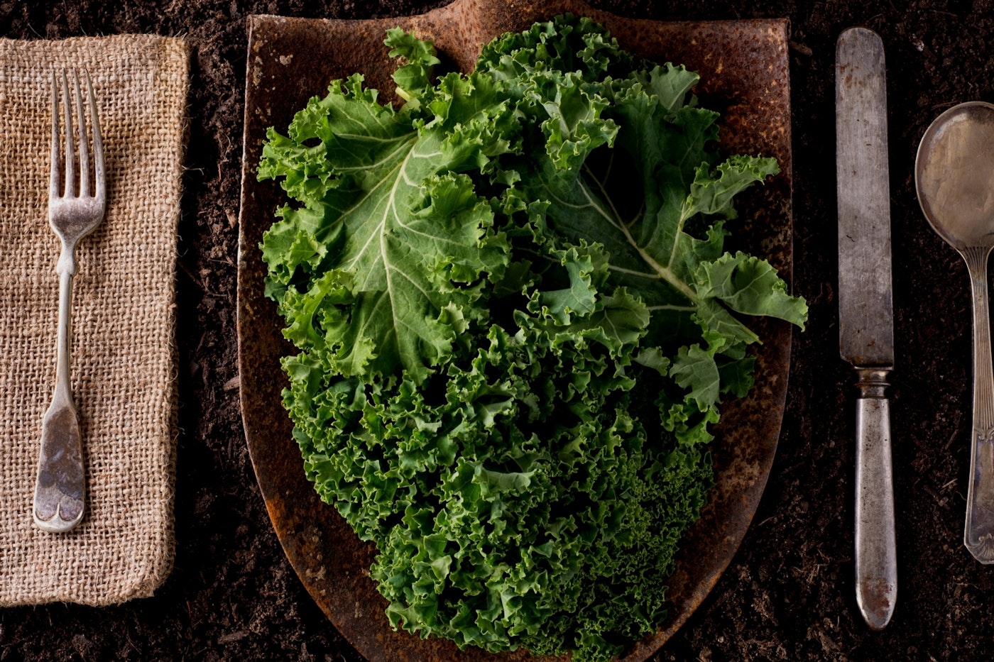 Recipes With Kale